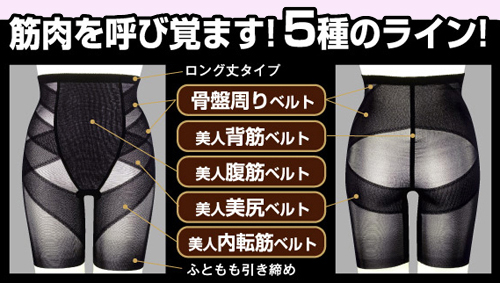 筋肉を呼び覚ます5つのライン