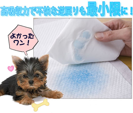 吸収力がスゴイ!ペットシーツ
