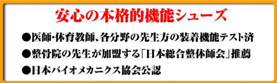 反射板