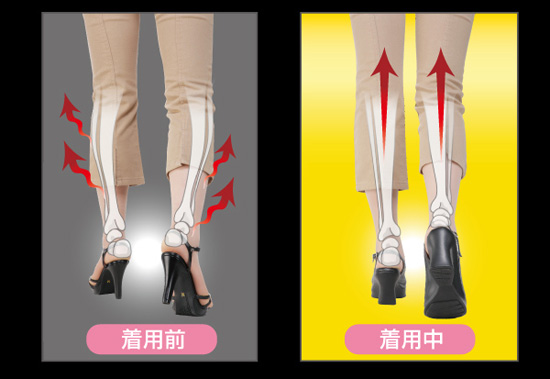 美脚革命の特徴