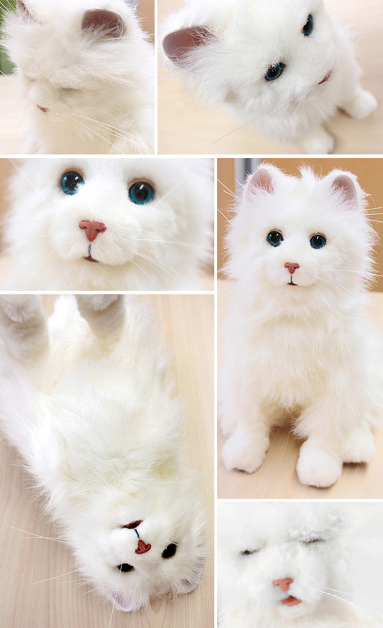夢猫プレミアム
