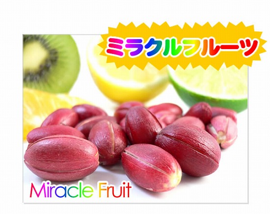 Miracle Fruit【ミラクルフルーツ】