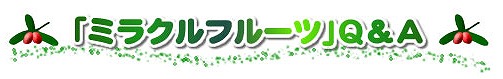 ミラクルフルーツ【Miracle Fruit】Q&A