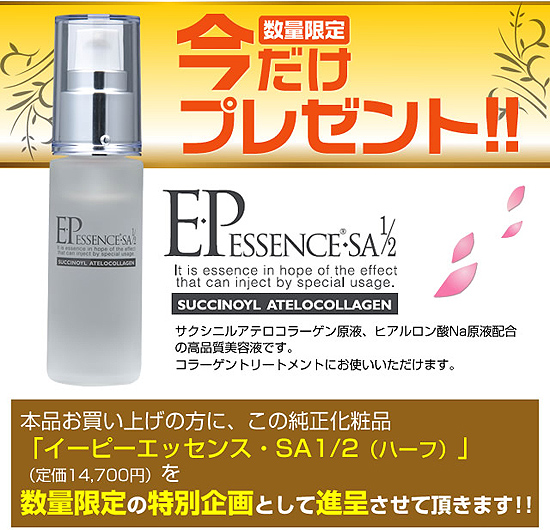 プレゼント付き