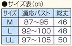 サイズ