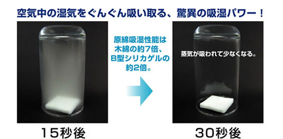 テイジンベルオアシス