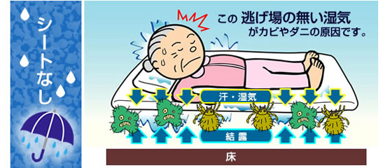 除湿シートなし。