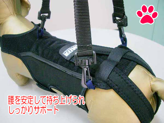 犬用サポーター