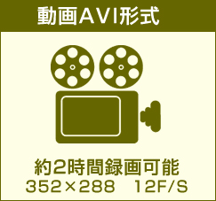 AVI形式対応