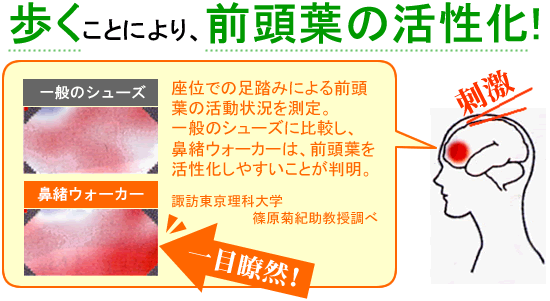 鼻緒ウォーカーで前頭葉を活性化